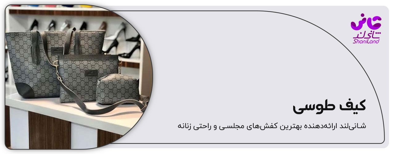 ست کیف طوسی
